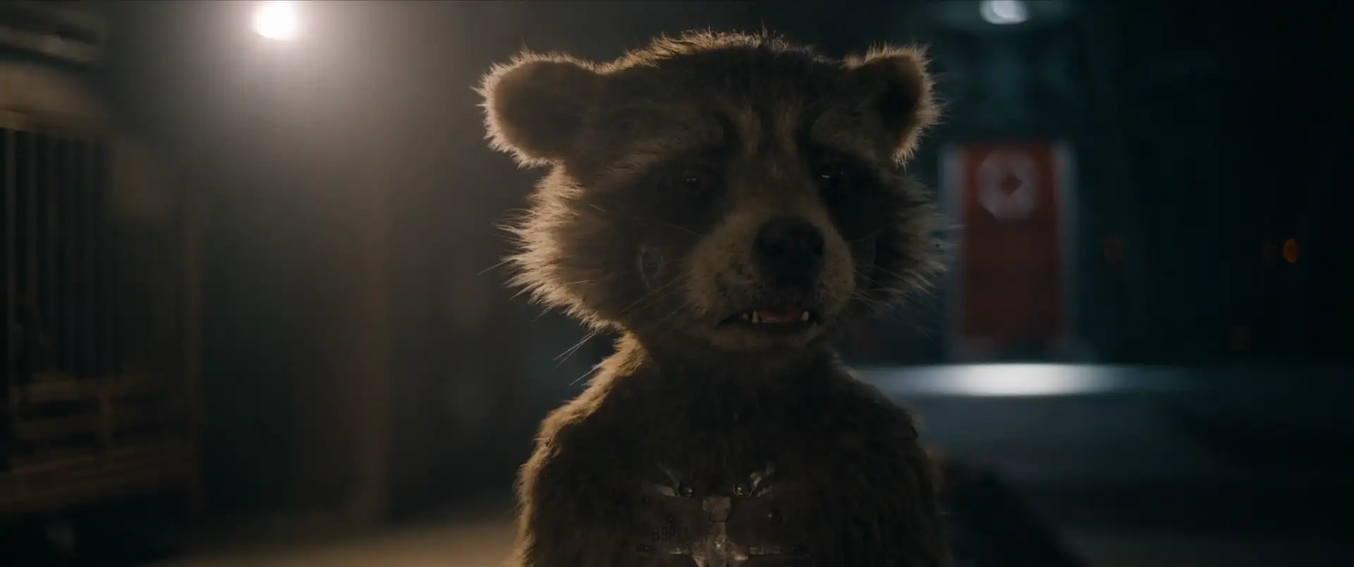 download guardians of the galaxy volume 3 (2023) english with subtitles web-dl 480p [450mb] | 720p [1.2gb] | 1080p [2.9gb]