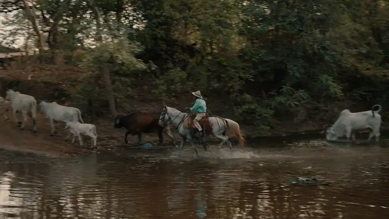 download live to 100: secrets of the blue zones - netflix original (2023) season 1 complete dual audio {hindi-english} 720p | 1080p web-dl