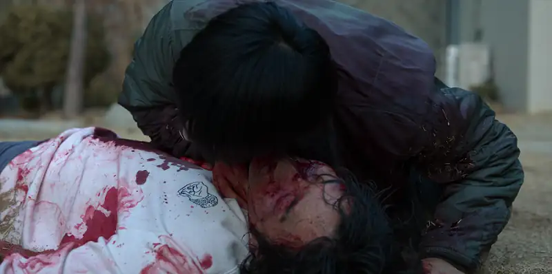 download bloodhounds (2023) season 1 complete [hindi dd5.1 - english - korean] netflix original web series 480p | 720p | 1080p web-dl