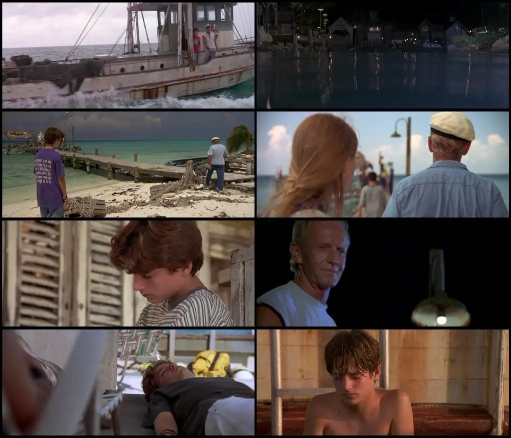 download flipper (1996) bluray dual audio {hindi-english} 480p [350mb] | 720p [880mb] | 1080p [1.6gb]