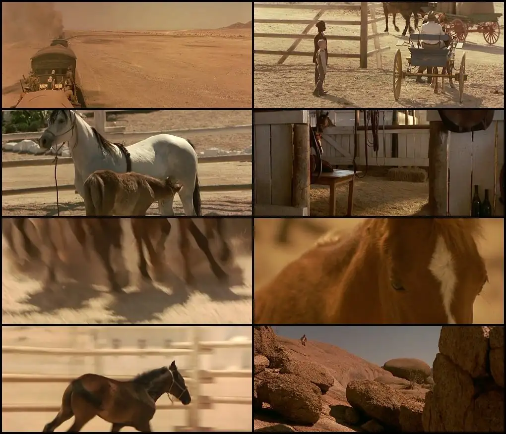 download running free (1999) web-dl dual audio {hindi-english} 480p [450mb] | 720p [880mb] | 1080p [1.6gb]